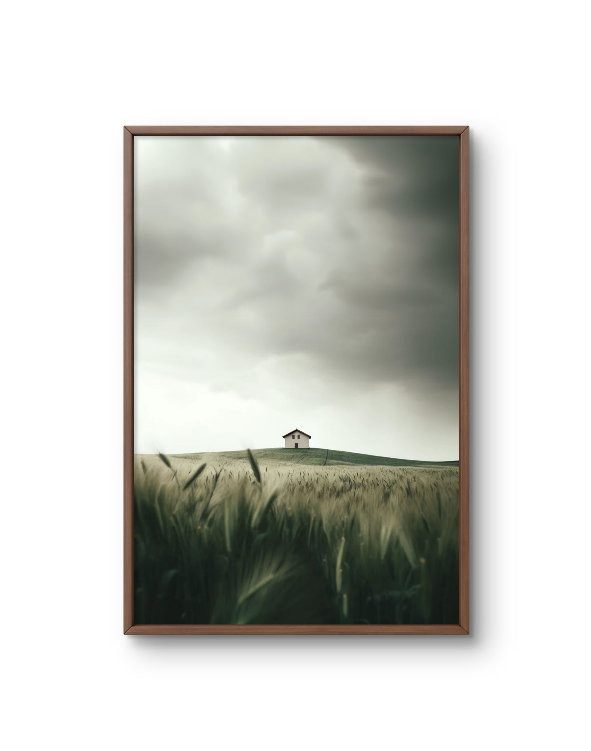 Bellucci - Solitude on the Hill — Photography fine art print by Bellucci