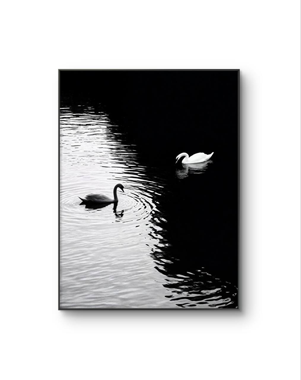 Serena - Light and Shadow on Water — Photography fine art print by Serena