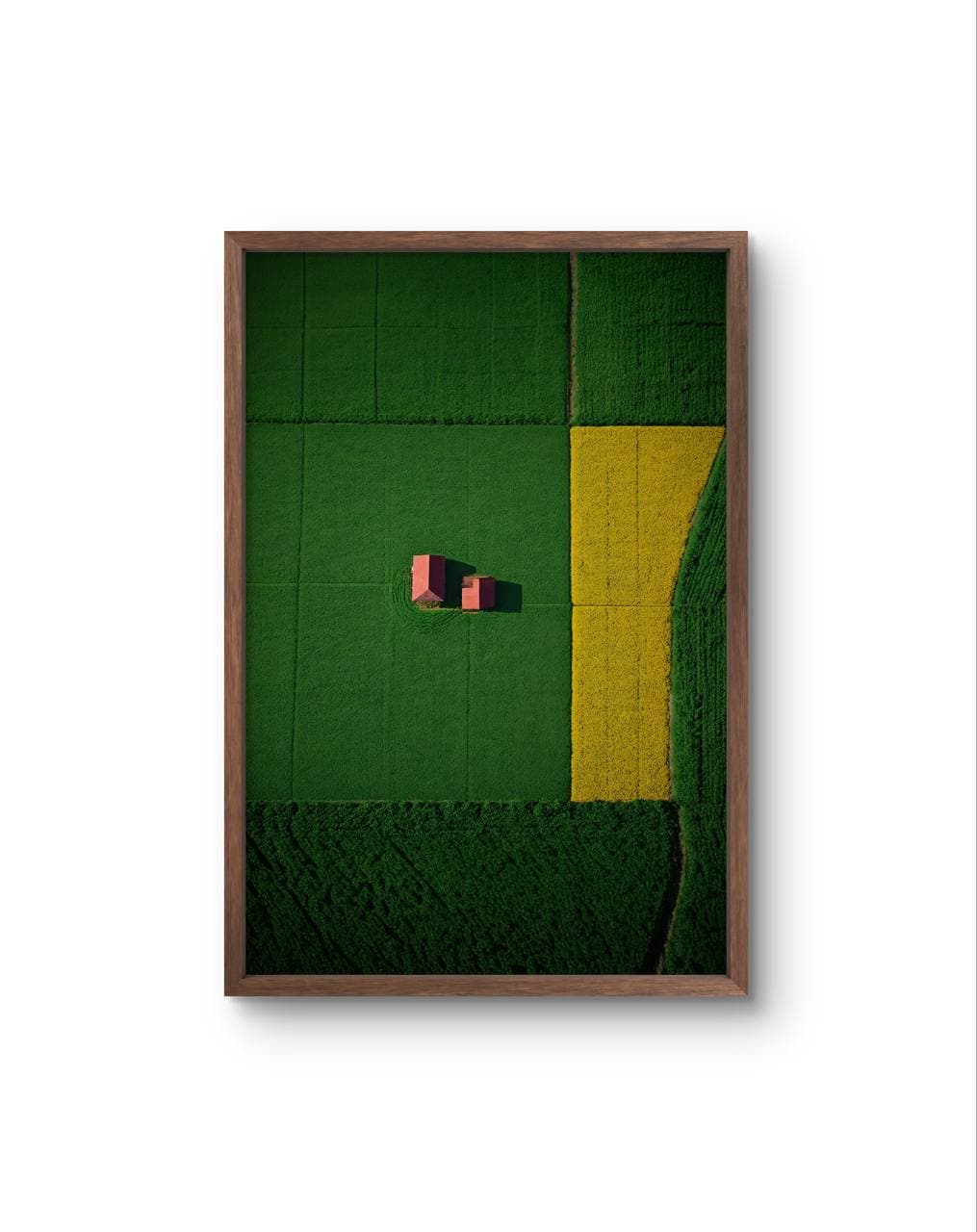 Bellucci - The Red Houses in a Sea of Green — Photography fine art print by Bellucci