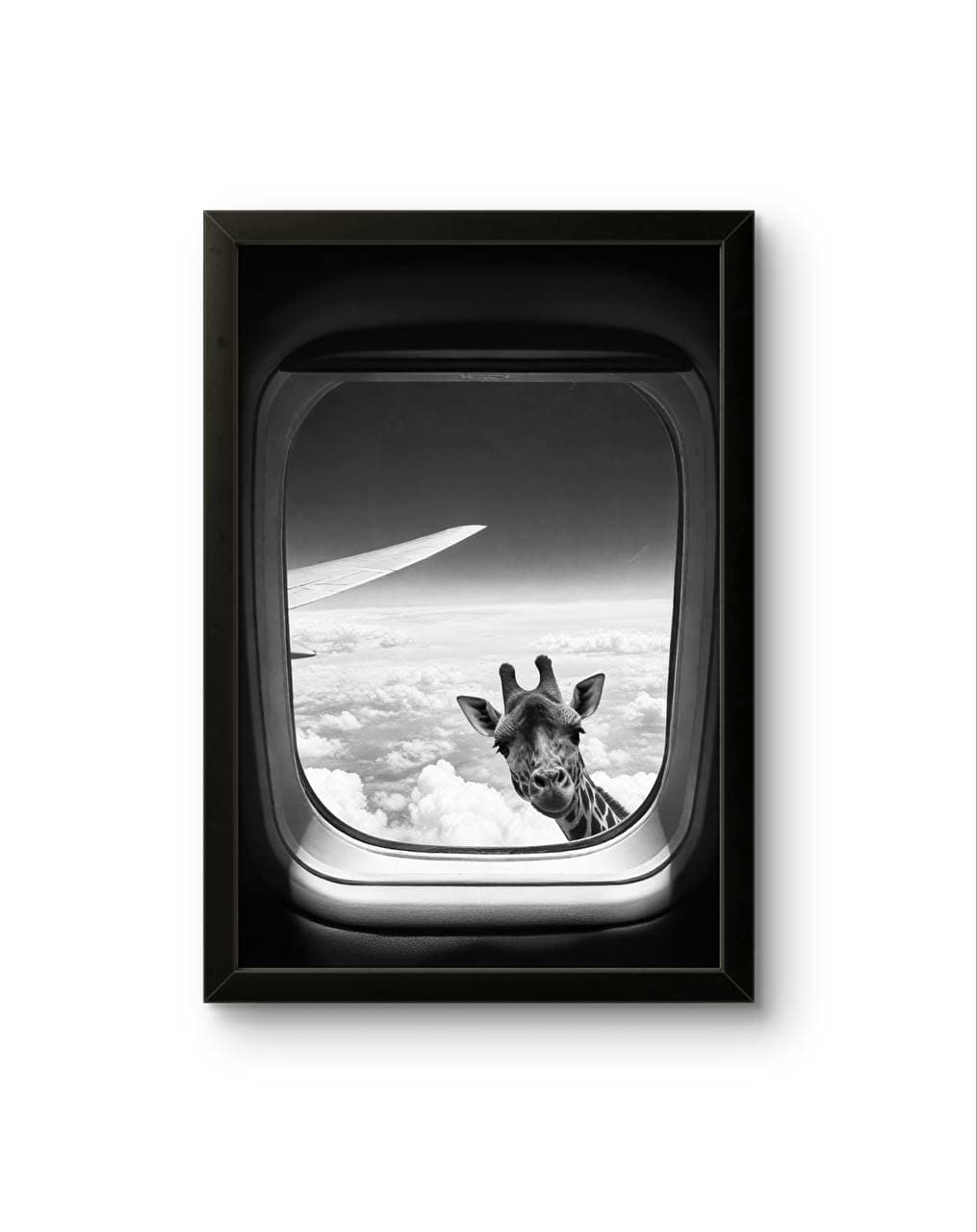 Bonaque - Skybound Curiosity — Photography fine art print by Bonaque