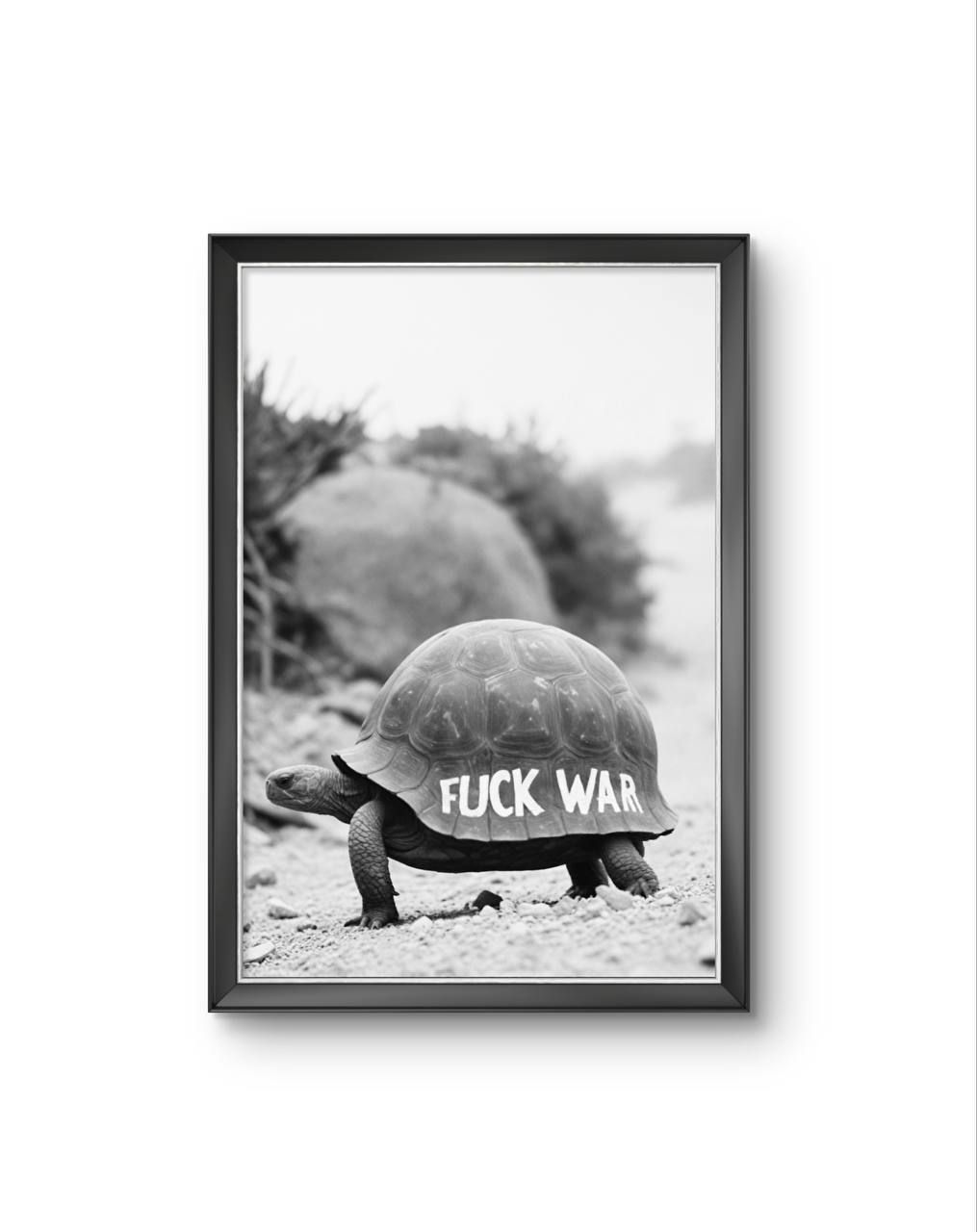 Bonaque - A Statement on the Shell — Photography fine art print by Bonaque