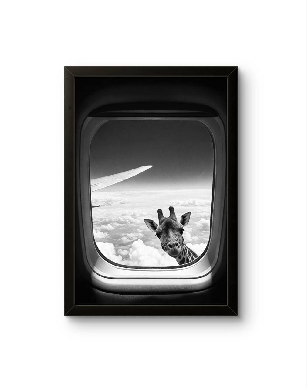 Bonaque - Skybound Curiosity — Photography fine art print by Bonaque