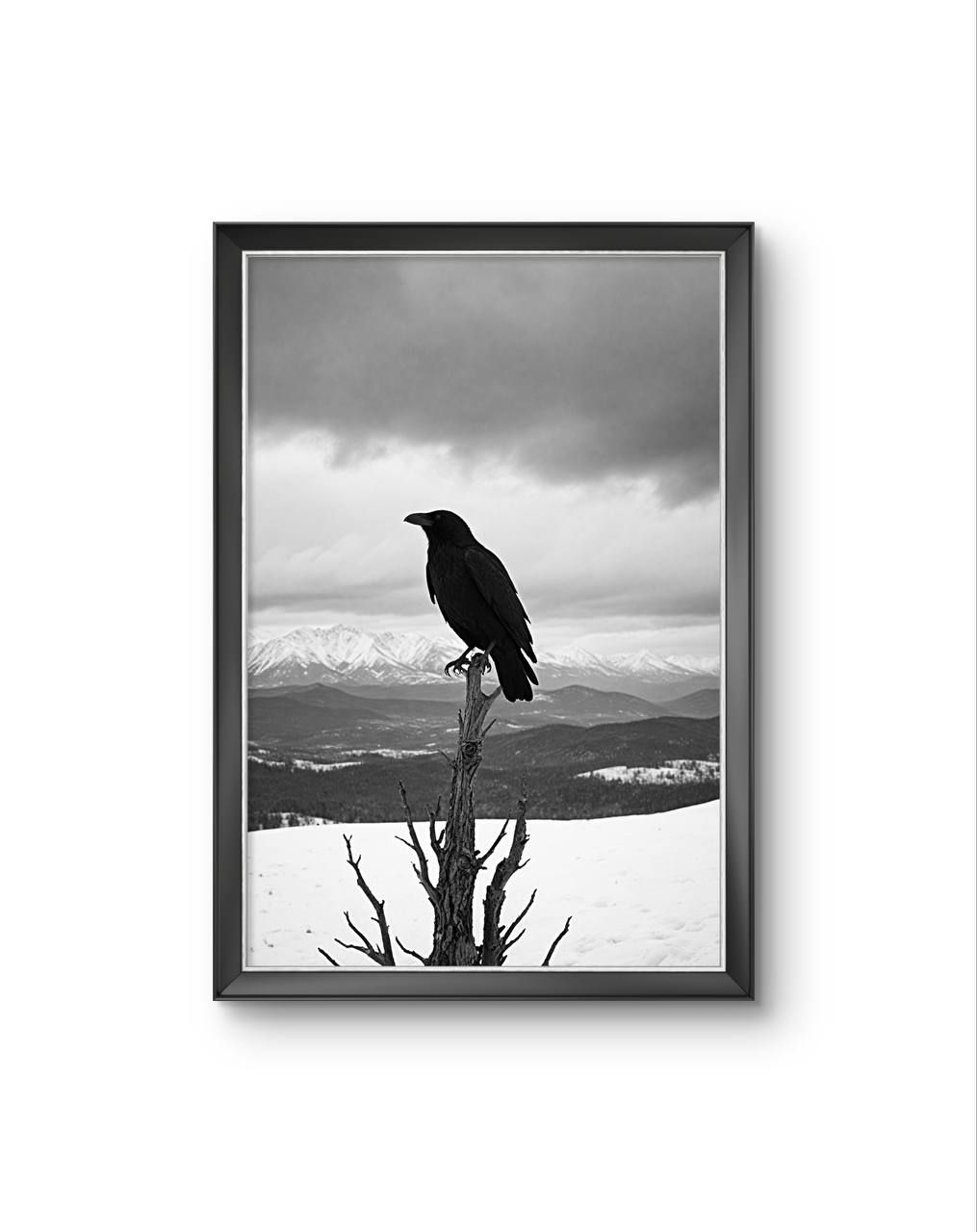 Bonaque - The Watchful Raven — Photography fine art print by Bonaque