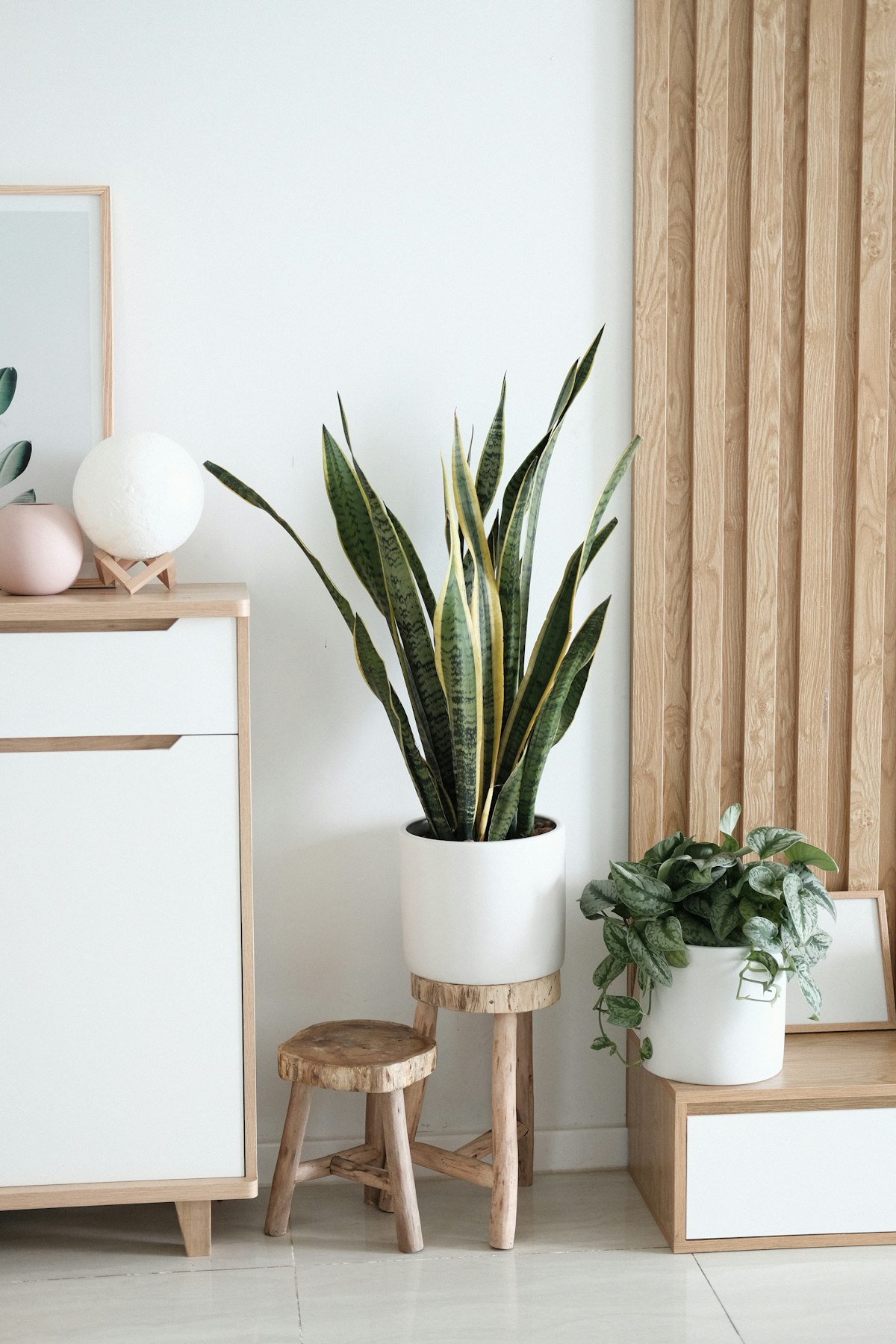 Building a Contemporary Art Wall on Any Budget